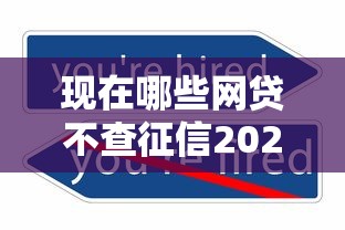 现在哪些网贷不查征信2025年秘籍速看！本篇为您详细归类！