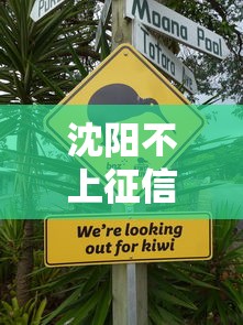沈阳不上征信贷款渠道大全