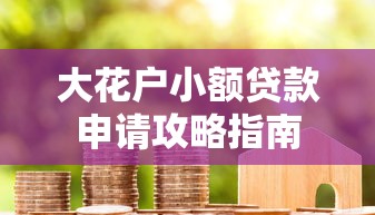 大花户小额贷款申请攻略指南
