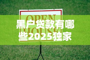 黑户贷款有哪些2025独家评测！今日罗列网贷口子借款给黑户