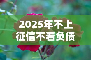 2025年不上征信不看负债的贷款平台9月圈内动态！今日分享五个正规黑户贷款