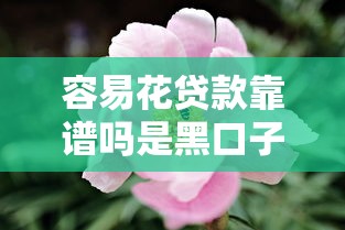 容易花贷款靠谱吗是黑口子吗