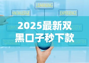 2025最新双黑口子秒下款攻略
