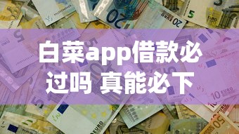 白菜app借款必过吗 真能必下款吗