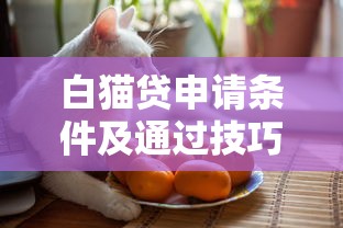 白猫贷申请条件及通过技巧