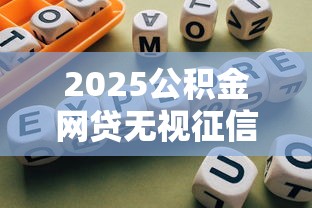 2025公积金网贷无视征信平台