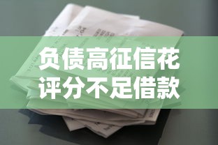 负债高征信花评分不足借款平台