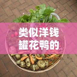 类似洋钱罐花鸭的借款软件推荐
