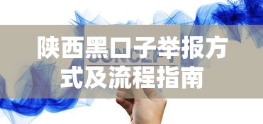 陕西黑口子举报方式及流程指南