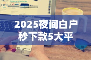 2025夜间白户秒下款5大平台