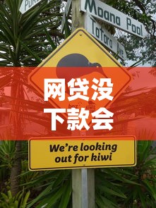 网贷没下款会影响征信吗