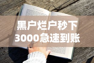 黑户烂户秒下3000急速到账