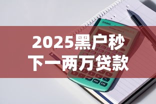 2025黑户秒下一两万贷款平台