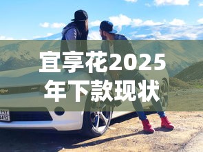 宜享花2025年下款现状全解析