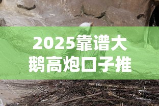 2025靠谱大鹅高炮口子推荐大全