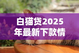白猫贷2025年最新下款情况