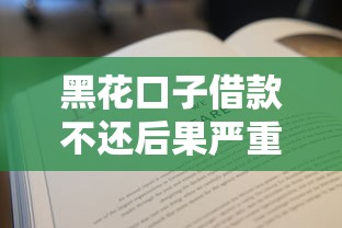 黑花口子借款不还后果严重