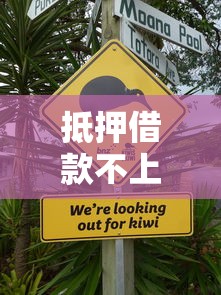 抵押借款不上征信是否合法解析