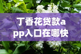 丁香花贷款app入口在哪快速找到