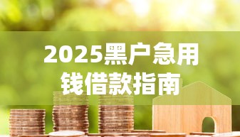 2025黑户急用钱借款指南