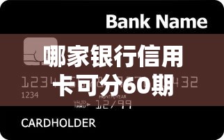 哪家银行信用卡可分60期