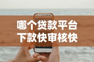 哪个贷款平台下款快审核快