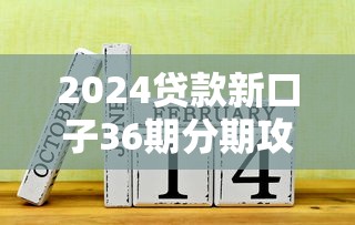 2024贷款新口子36期分期攻略