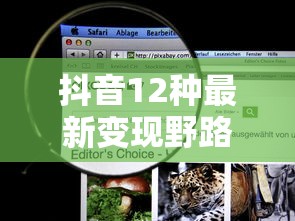 抖音12种最新变现野路子揭秘