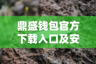 鼎盛钱包官方下载入口及安装教程