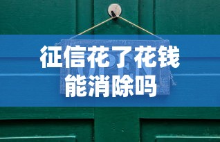 征信花了花钱能消除吗