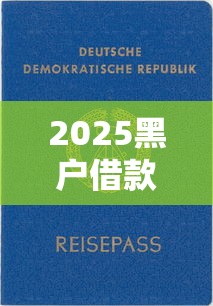 2025黑户借款平台推荐指南