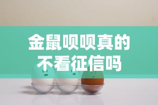 金鼠呗呗真的不看征信吗