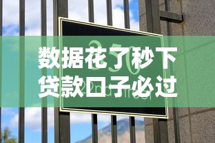 数据花了秒下贷款口子必过攻略
