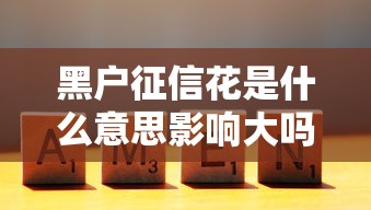 黑户征信花是什么意思影响大吗