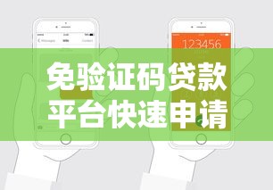 免验证码贷款平台快速申请指南
