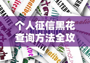 个人征信黑花查询方法全攻略