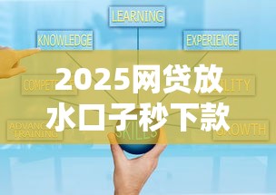 2025网贷放水口子秒下款攻略
