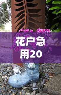 花户急用2000哪里可以快速借到