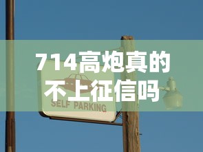 714高炮真的不上征信吗