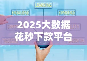 2025大数据花秒下款平台推荐