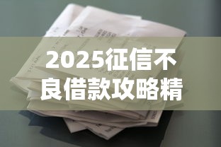 2025征信不良借款攻略精选