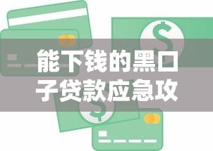 能下钱的黑口子贷款应急攻略