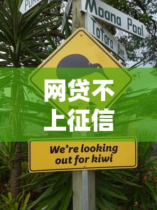 网贷不上征信是真的吗