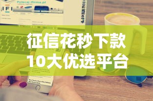 征信花秒下款10大优选平台