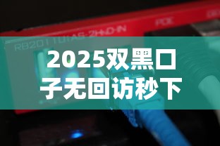 2025双黑口子无回访秒下款攻略