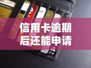 信用卡逾期后还能申请贷款吗