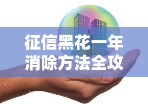 征信黑花一年消除方法全攻略