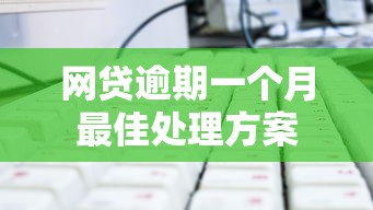 网贷逾期一个月最佳处理方案