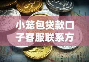 小笼包贷款口子客服联系方式