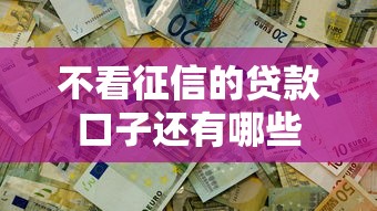 不看征信的贷款口子还有哪些
